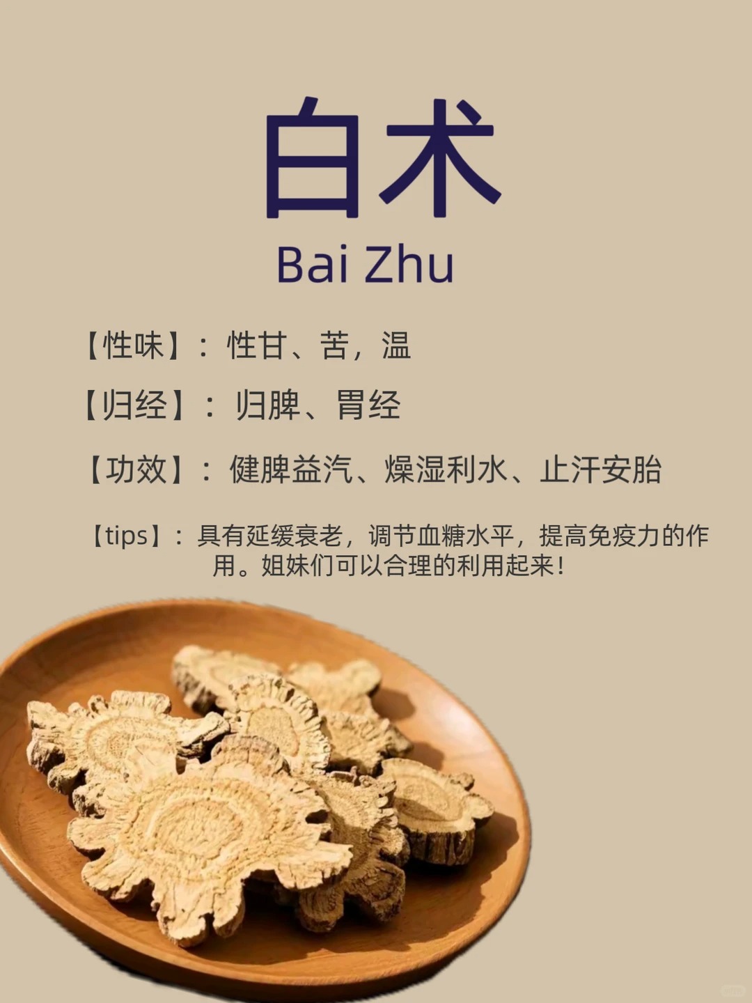 白术图片