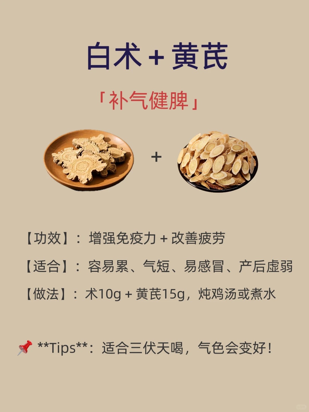白术图片 