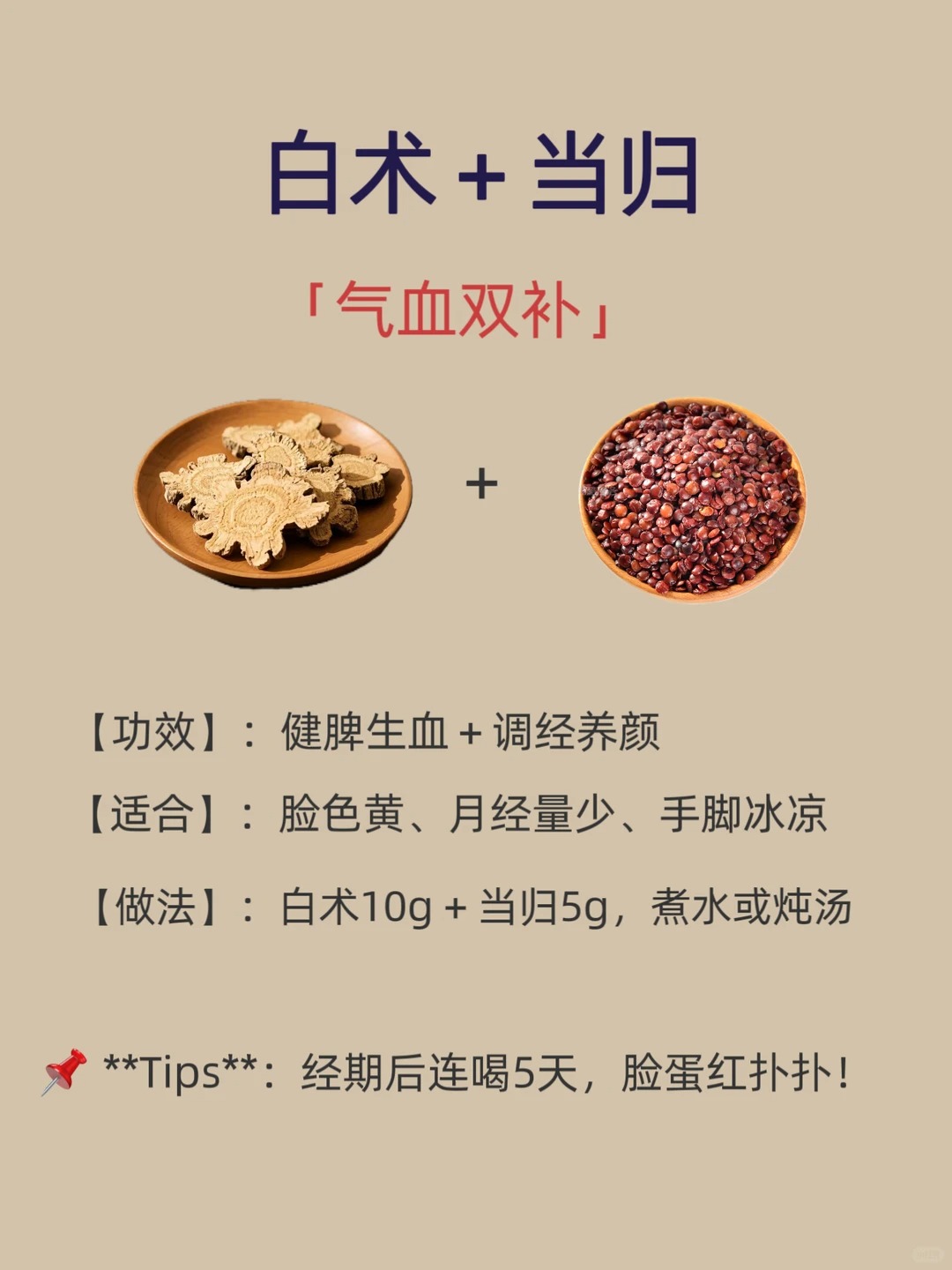 白术图片 