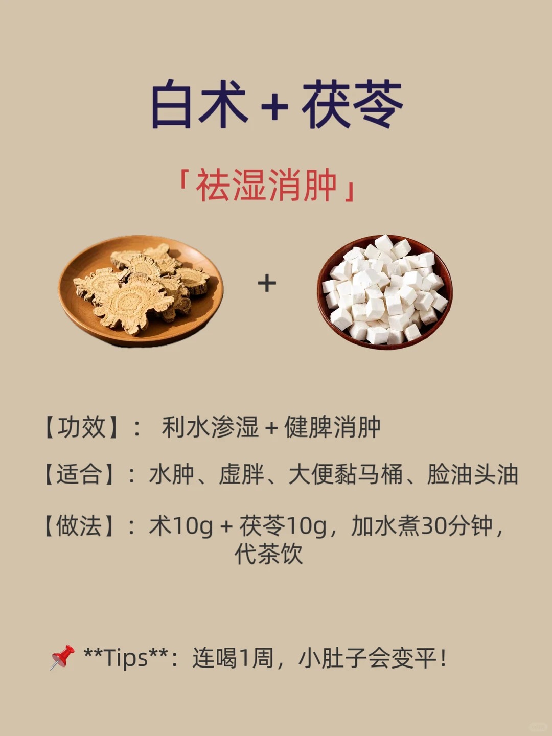 白术图片 